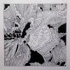 Succulents - 2021